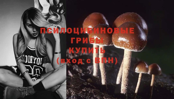 наркотики Абаза